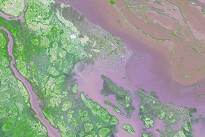 Close-up of Flooding in Mozambique