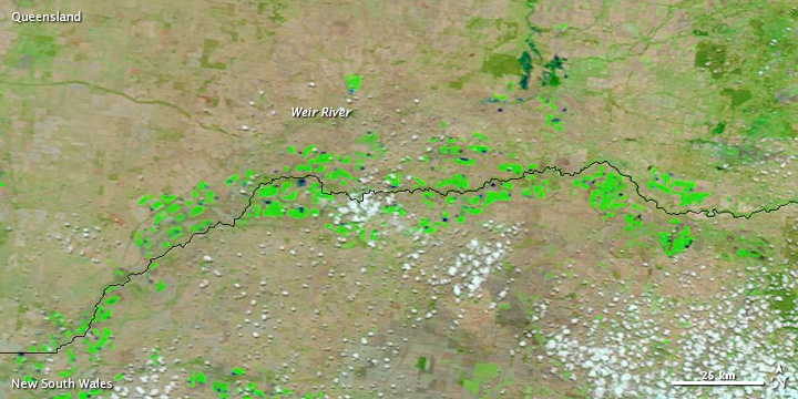 Flooding in Eastern Australia