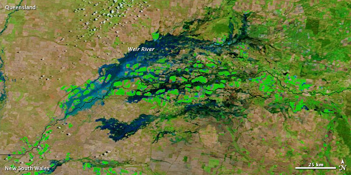 Flooding in Eastern Australia - related image preview