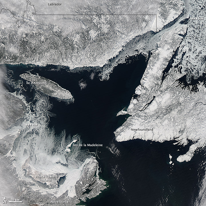 Sea Ice in the Gulf of St. Lawrence