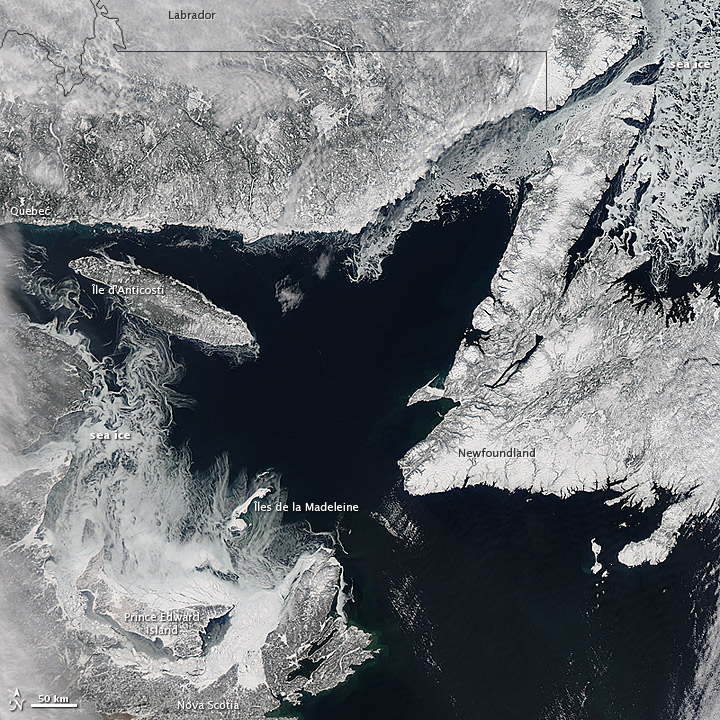 Sea Ice in the Gulf of St. Lawrence - related image preview