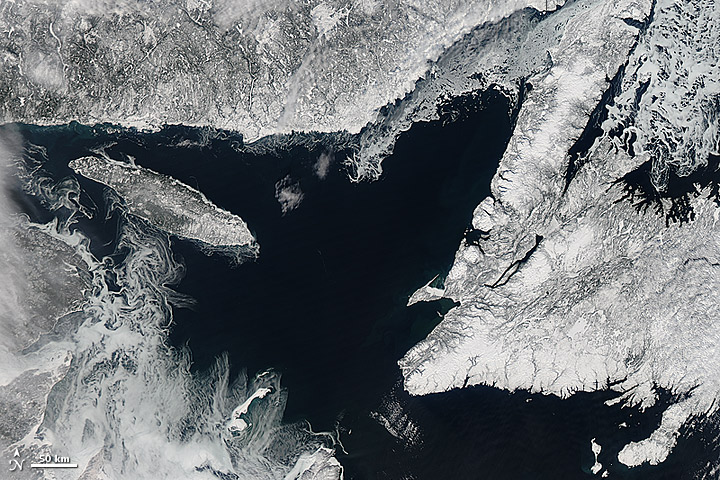 Sea Ice in the Gulf of St. Lawrence - related image preview
