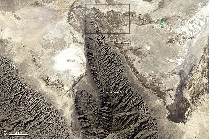 Gypsum on Earth and Mars