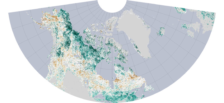 The Greening Arctic