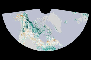 The Greening Arctic