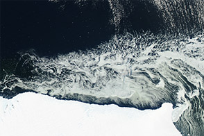 Icebergs and Sea Ice off the Mawson Coast