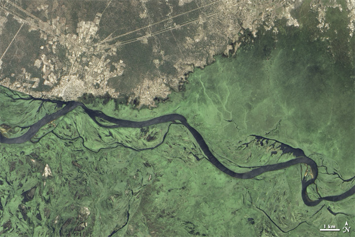 Wet Season Transforms the Zambezi - related image preview