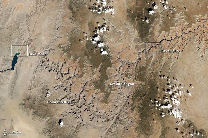 The Grand Canyon! From Space! Satellite image by Robert Simmon, using Landsat data from the U.S. Geological Survey and NASA. Image courtesy NASA Earth Observatory.