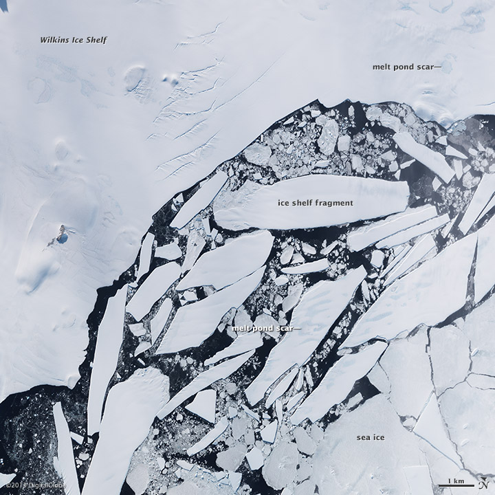 Breakup Continues on the Wilkins Ice Shelf
