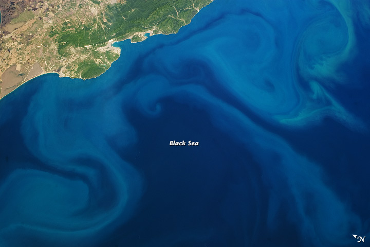 Plankton Bloom, Black Sea - related image preview