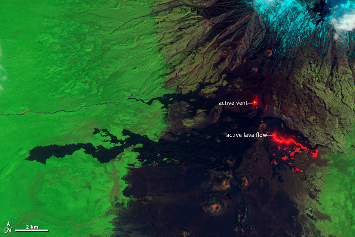 Monochromatic Lava Fields on Tolbachik Volcano