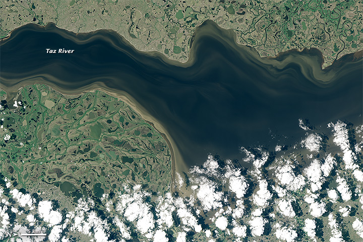 Taz River, Russia - related image preview