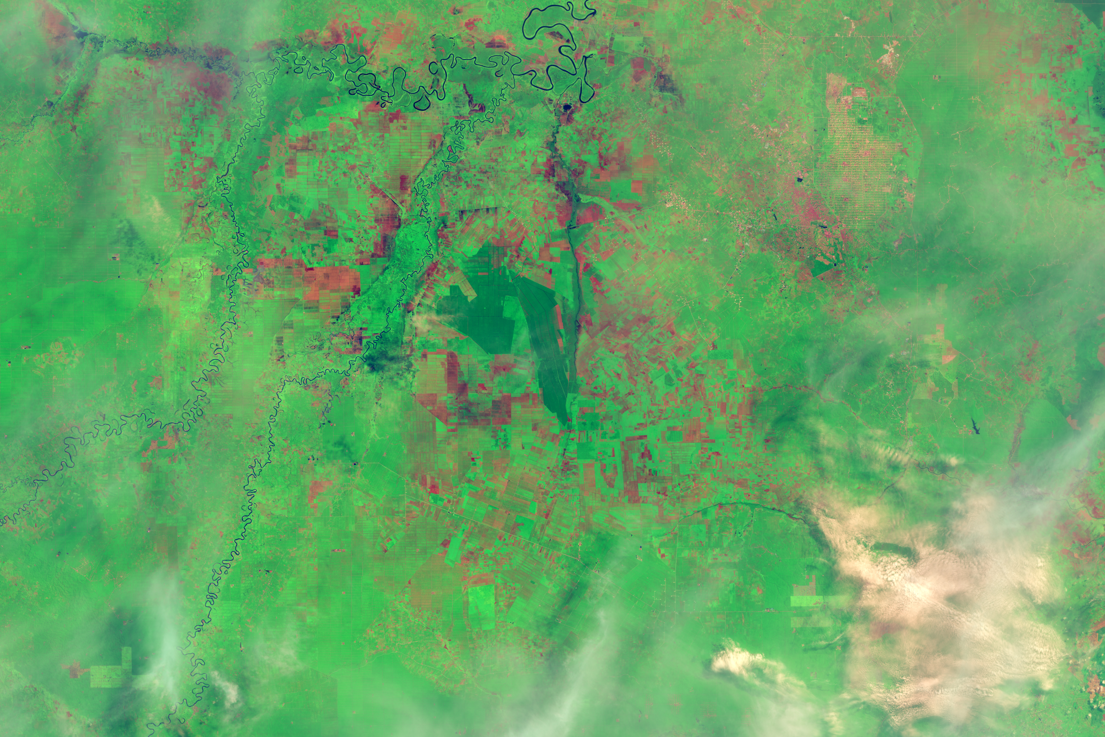 Fires and Farms in Indonesia - related image preview