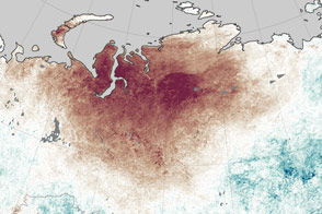 Heat Intensifies Siberian Wildfires