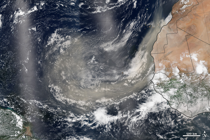 Tracking Dust Across the Atlantic - related image preview
