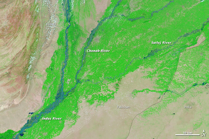 Flooding in Pakistan - related image preview