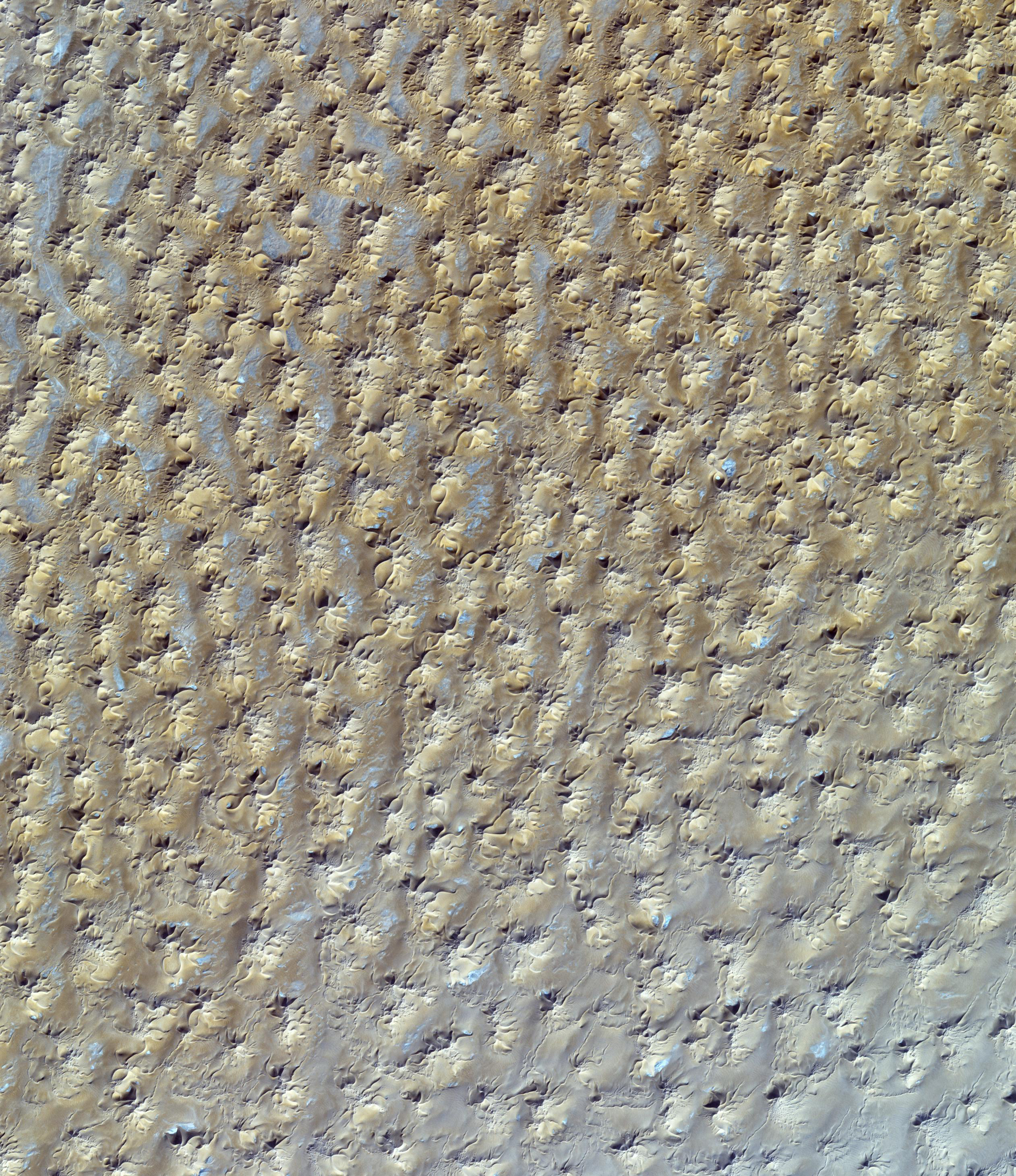 seif dunes in sahara desert