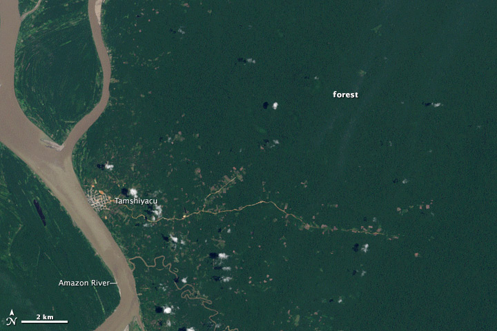 Landsat 8 Detects New Deforestation in Peru - related image preview