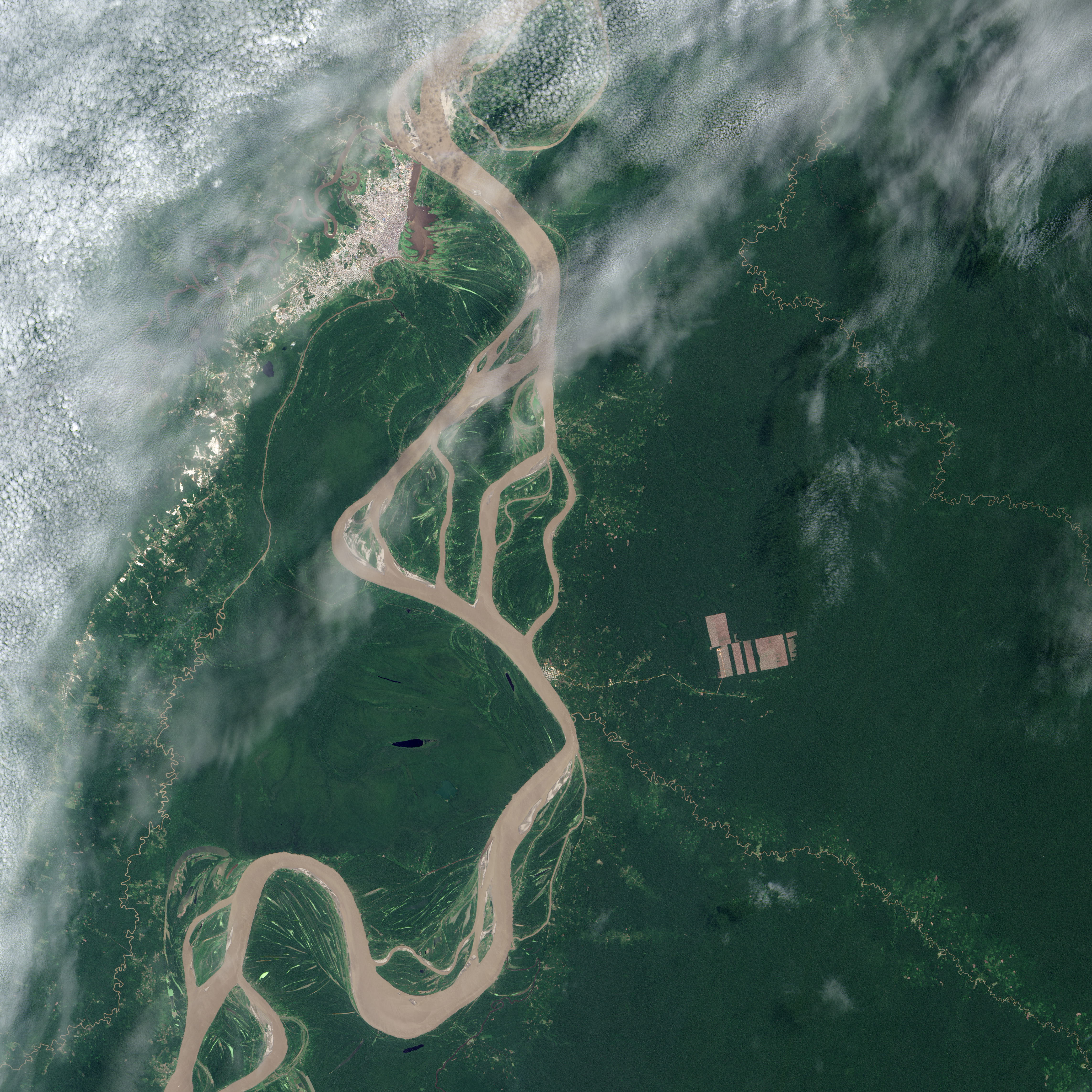 Landsat 8 Detects New Deforestation in Peru - related image preview