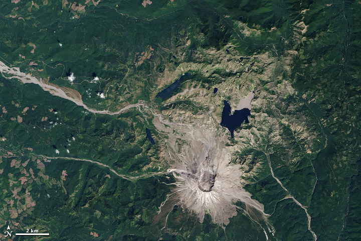 Life Reclaims Mount St. Helens