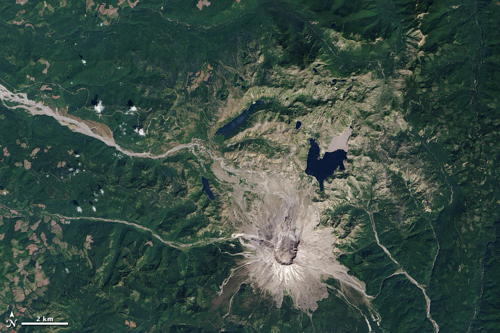 Life Reclaims Mount St. Helens - related image preview