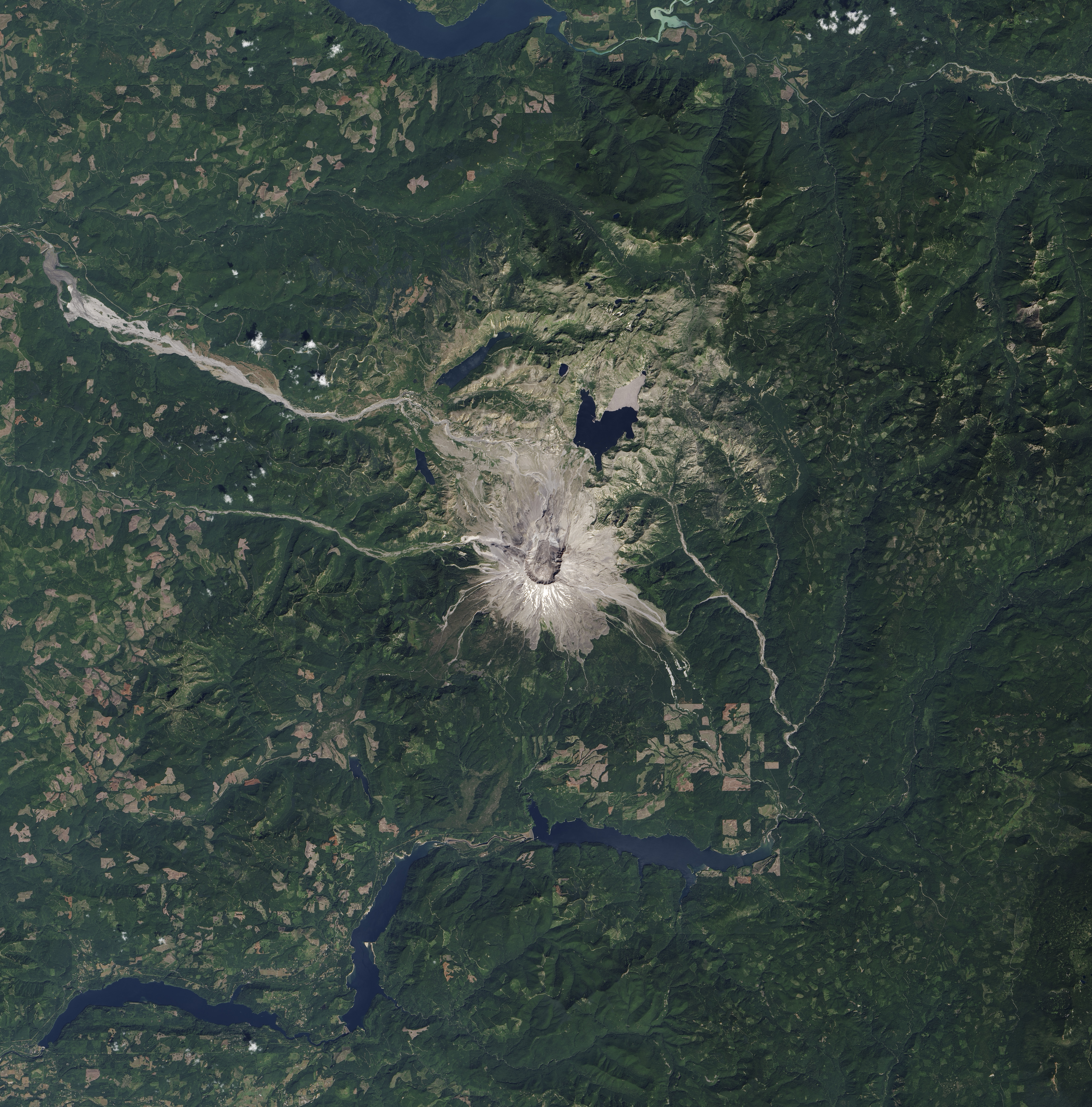 Life Reclaims Mount St. Helens - related image preview