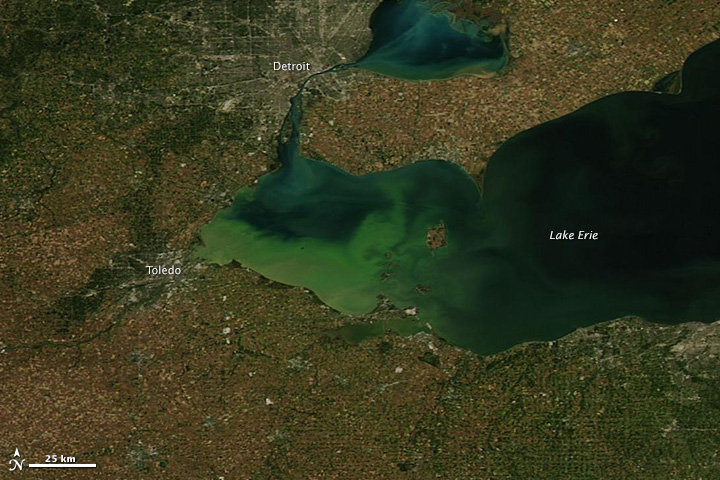Toxic Algae in Lake Erie