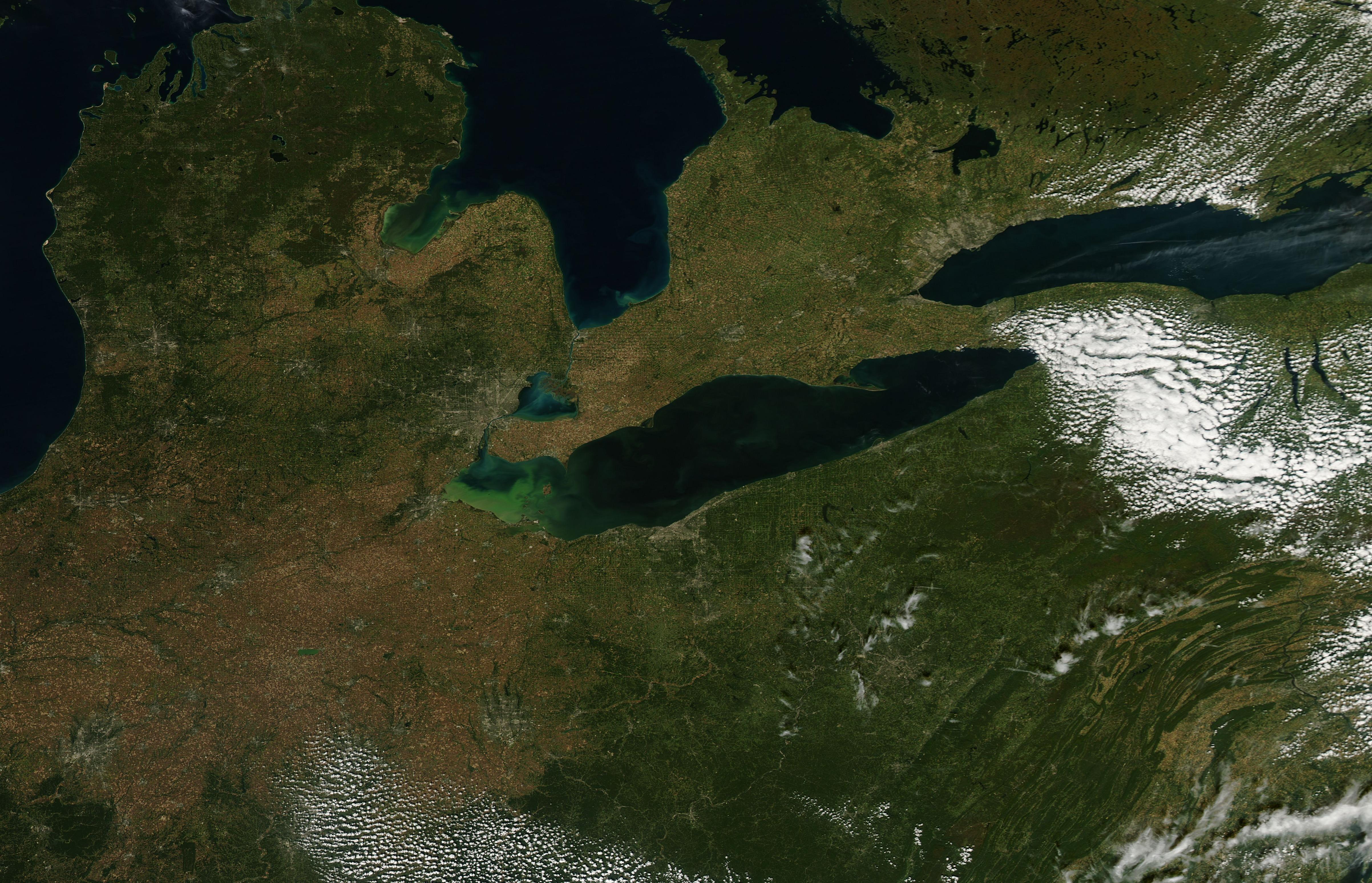 Toxic Algae in Lake Erie - related image preview