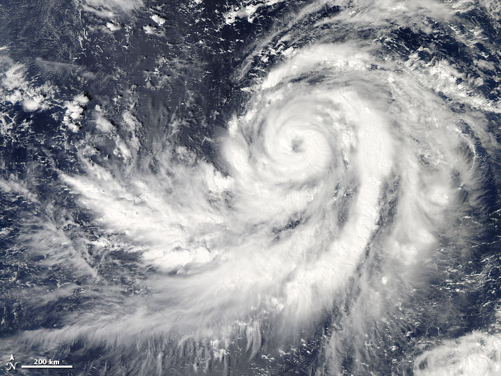 Typhoon Francisco
