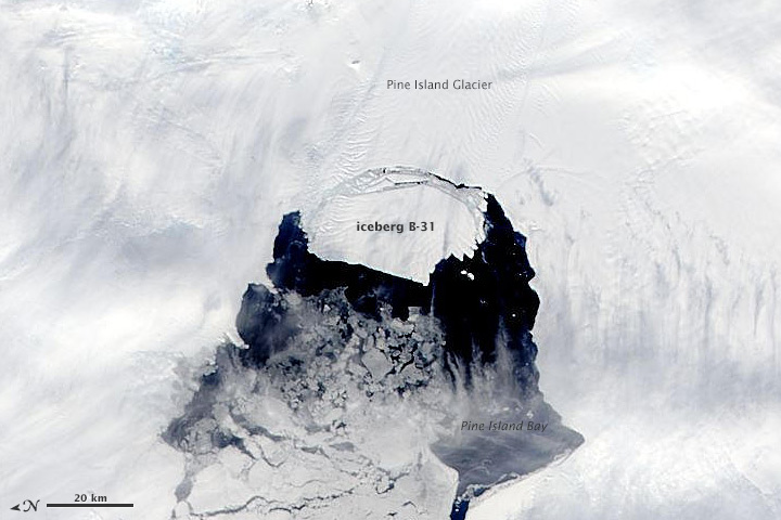 Pine Island Iceberg Breaking Loose