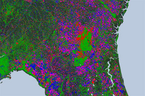 New Map Yields Better View of Forest Changes - selected image