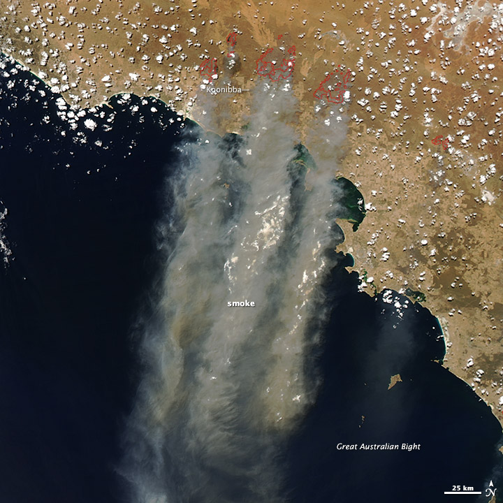 Wildfires in Yumbarra Conservation Park - related image preview