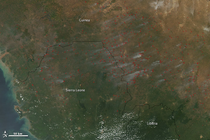 Agriculture Fires in West Africa