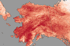 Winter Heat Swamps Alaska