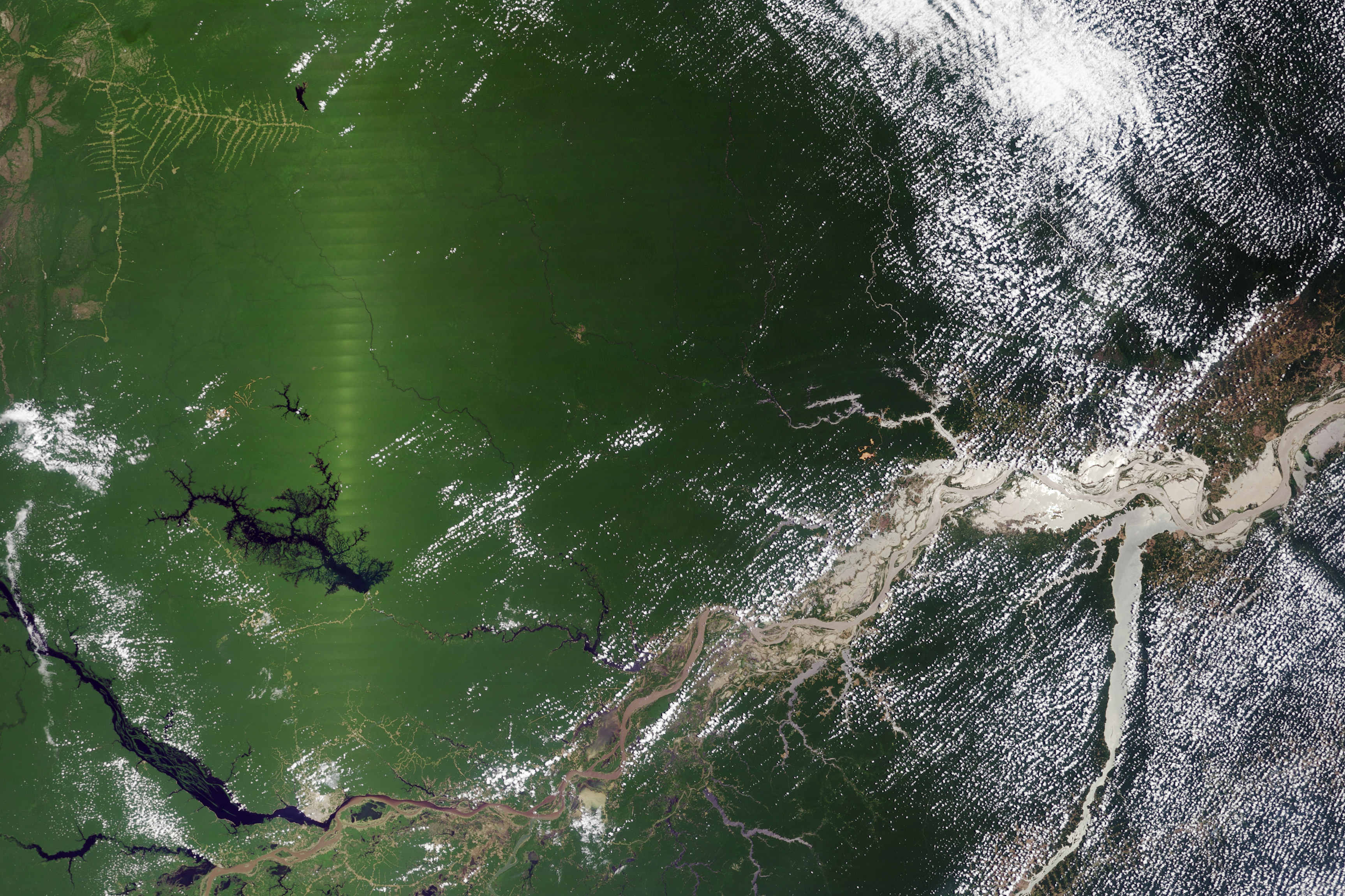 Seasonal Amazon Greening May Be a Satellite Effect - related image preview