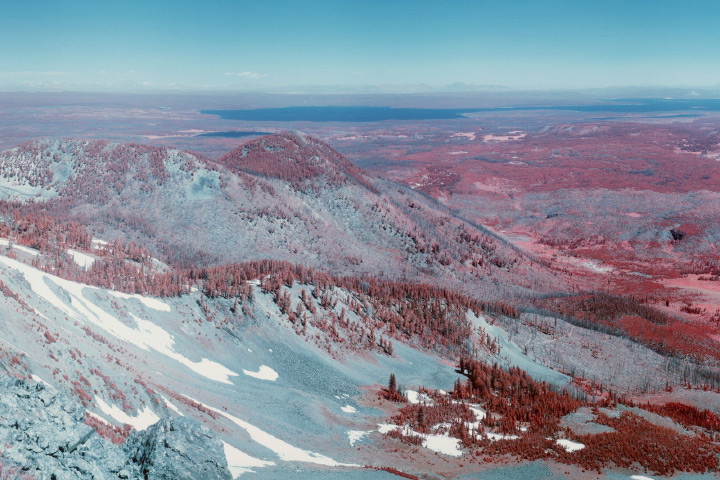 Why is the Amazon Forest Red?