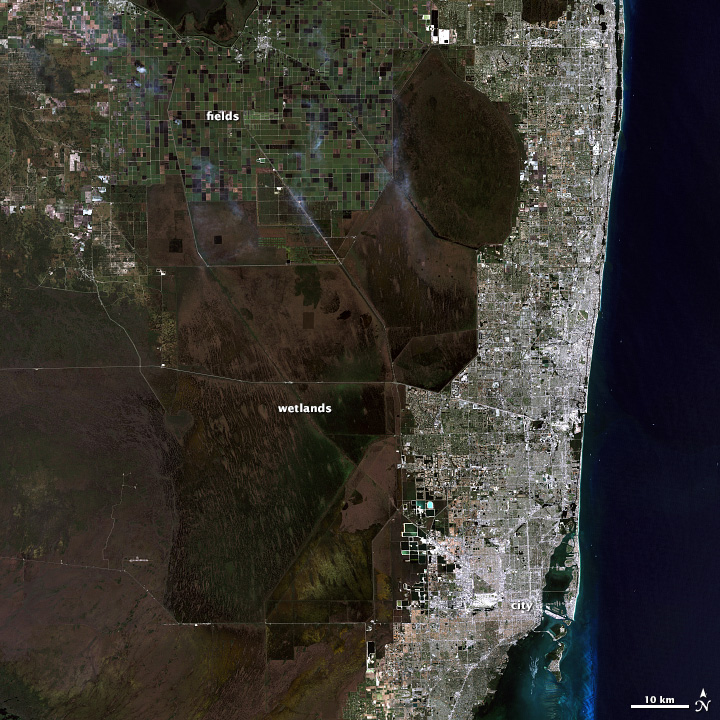 Florida Landscapes - related image preview