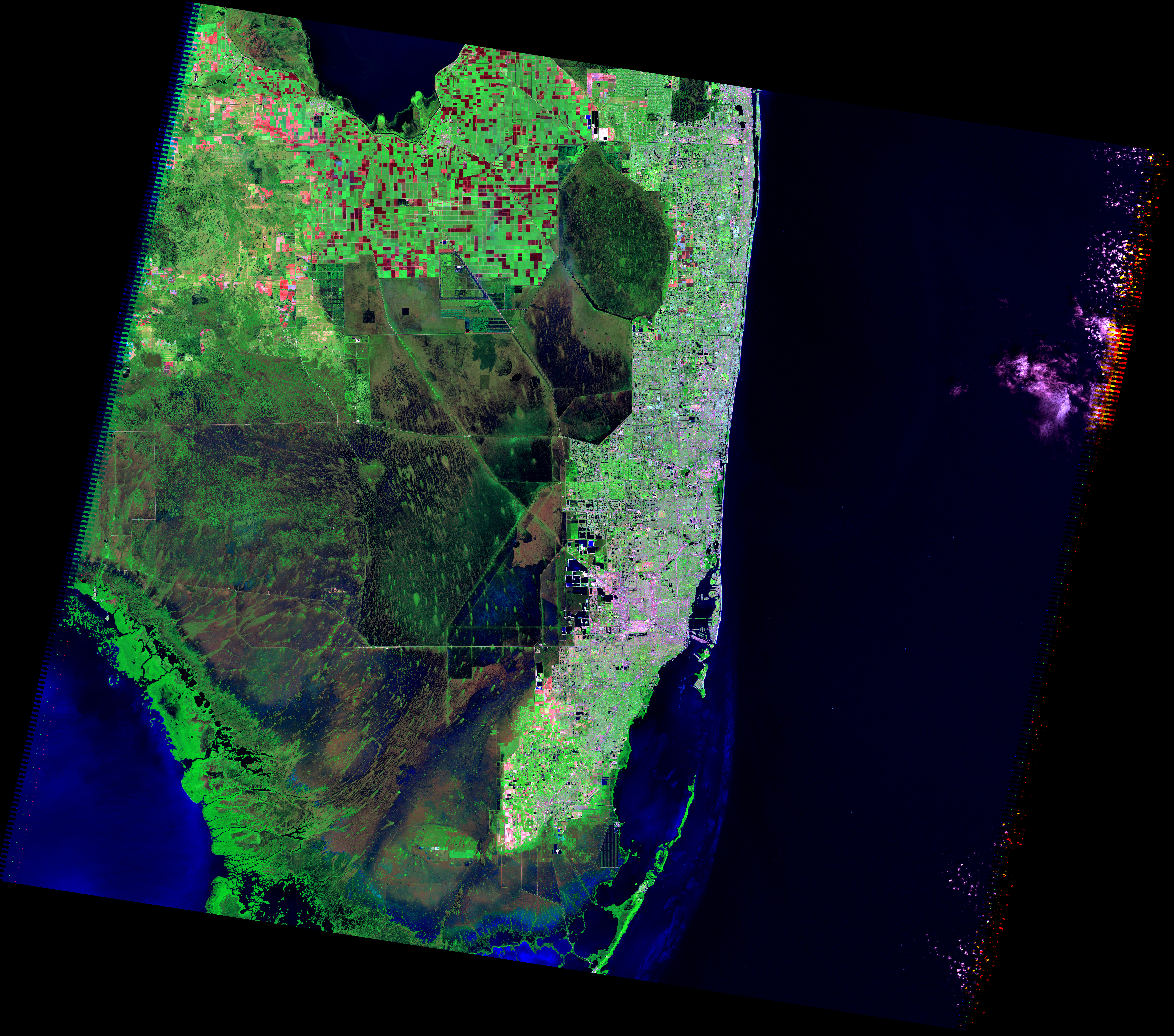 Florida Landscapes - related image preview
