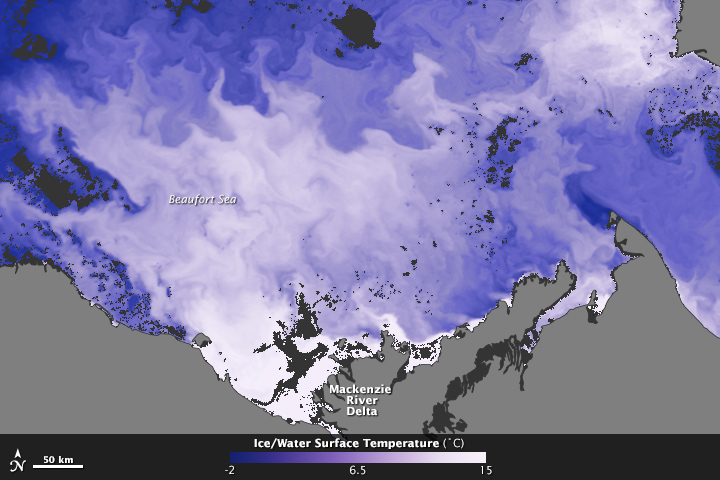 River Discharge Alters Arctic Sea Ice - related image preview