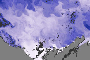 River Discharge Alters Arctic Sea Ice