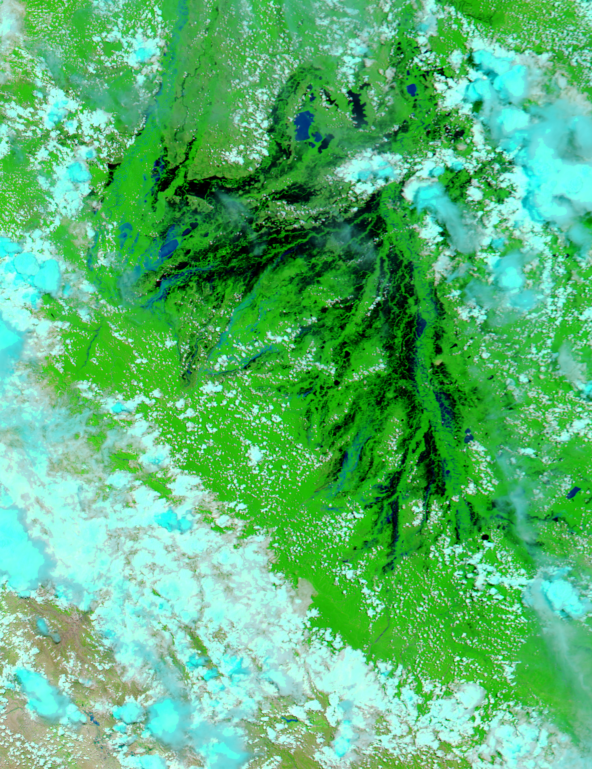 Flooding in Bolivia in False Color - related image preview