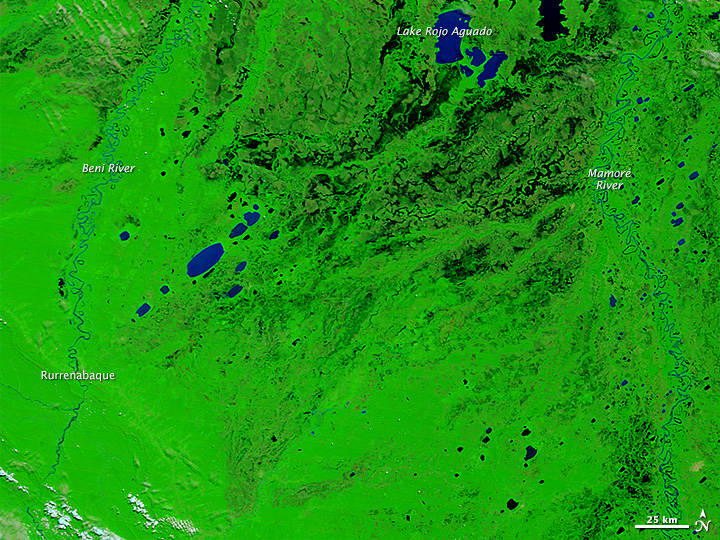Flooding in Bolivia in False Color