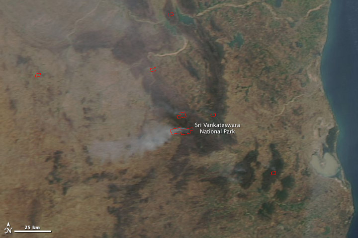 Forest fires in India