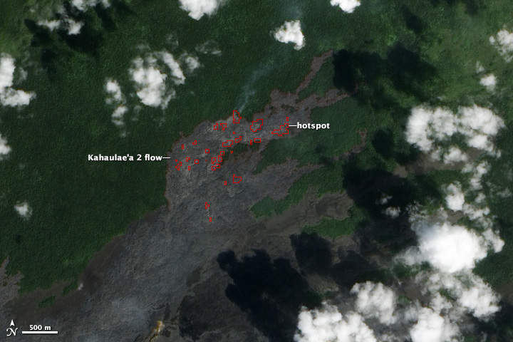 Kilauea Lava Chews Through More Forest