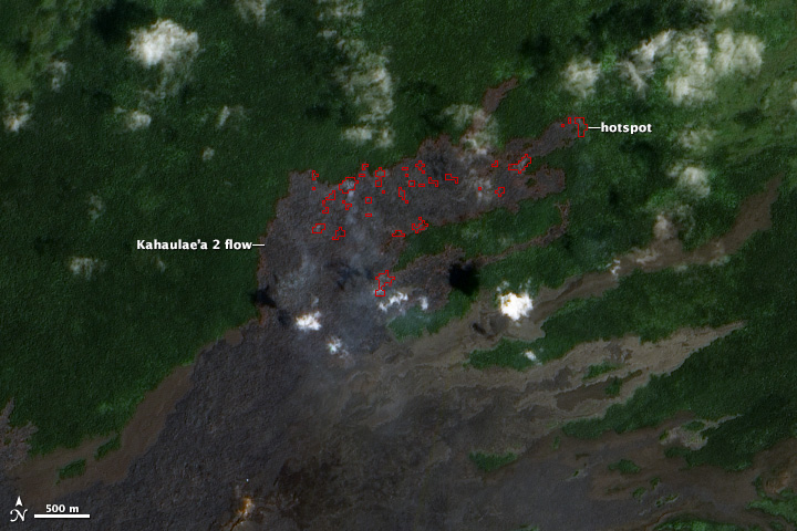 Kilauea Lava Chews Through More Forest