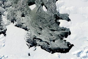 Drifting with Ice Island B31 - selected child image