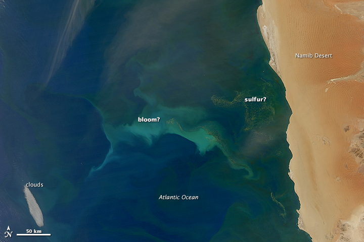 Plankton and Sulfur in the Benguela Current