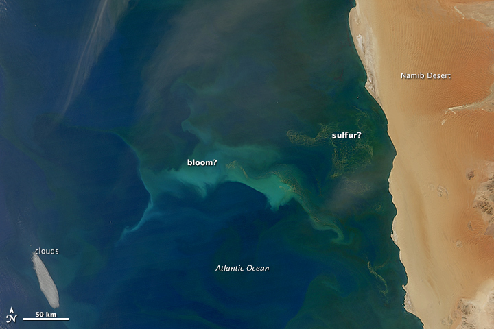 Plankton and Sulfur in the Benguela Current - related image preview