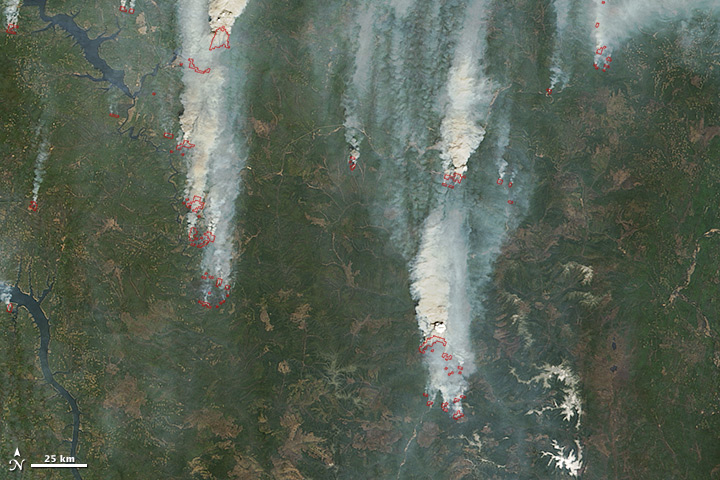 Wildfires in Irkutsk - related image preview