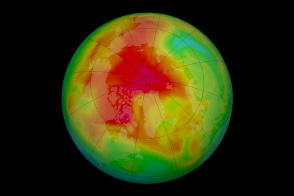 Arctic Ozone in Spring - selected image